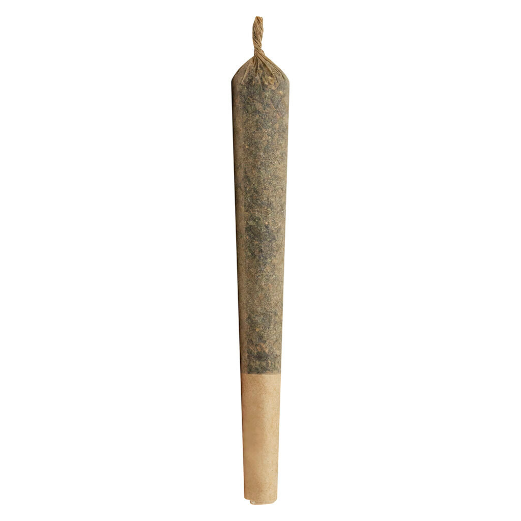 The Jeffrey Pre-Roll
