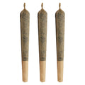 The Jeffrey Pre-Roll