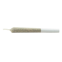 Photo Indica Js Pre-Roll