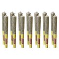 Tropic Thunder Jar of Joints Pre-Roll