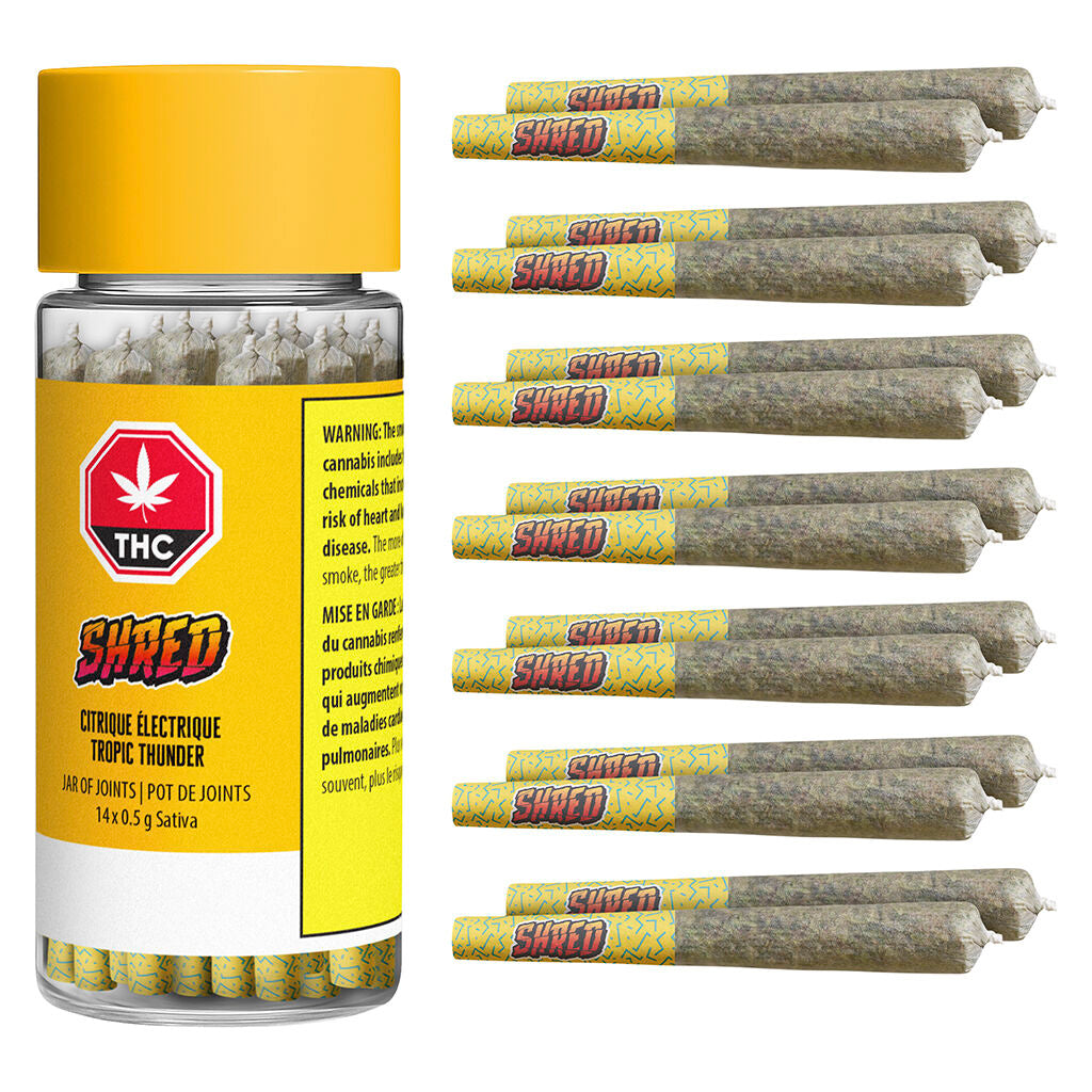 Tropic Thunder Jar of Joints Pre-Roll