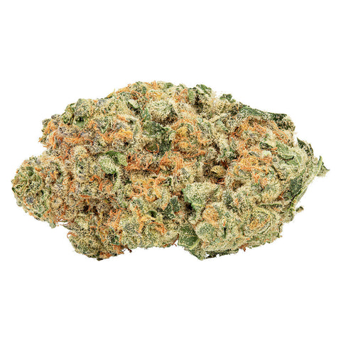 Photo Tropicanna Tangie