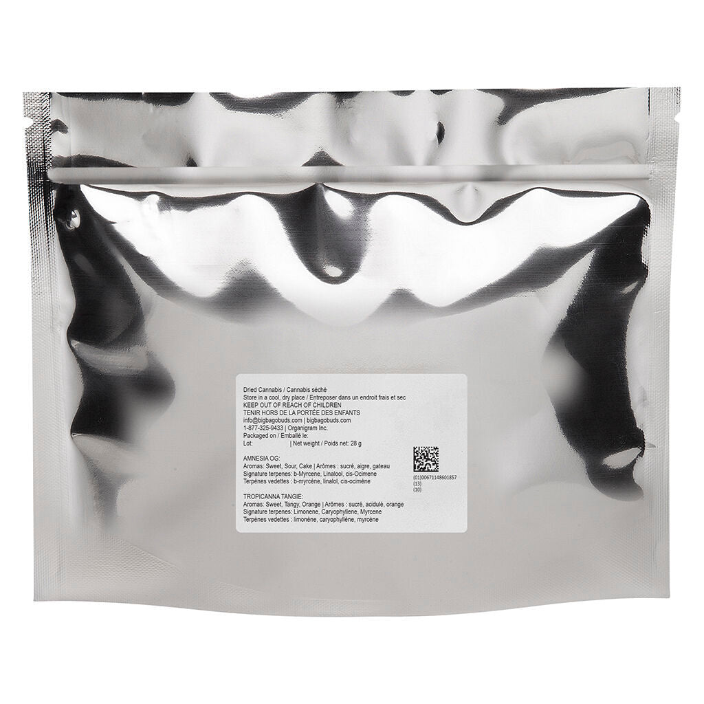Comboz: Amnesia OG & Tropicanna Tangie - 