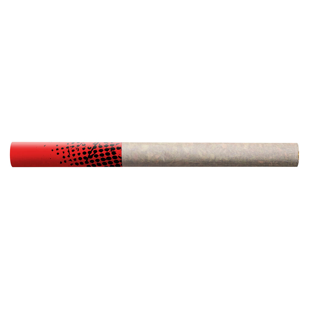 Tropicanna Tangie Tube Style Pre-Roll - 