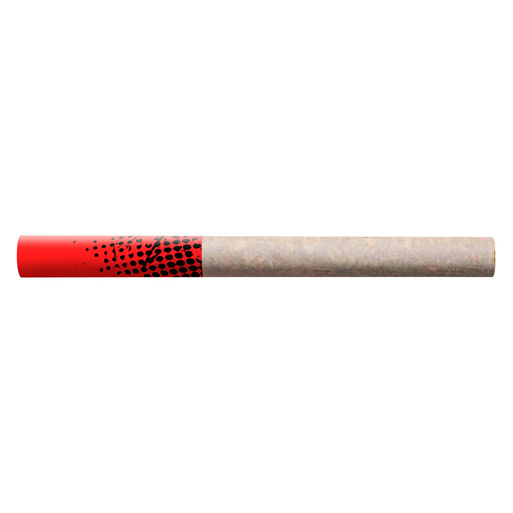 Blueberry Dream Tube Style Pre-Roll - 