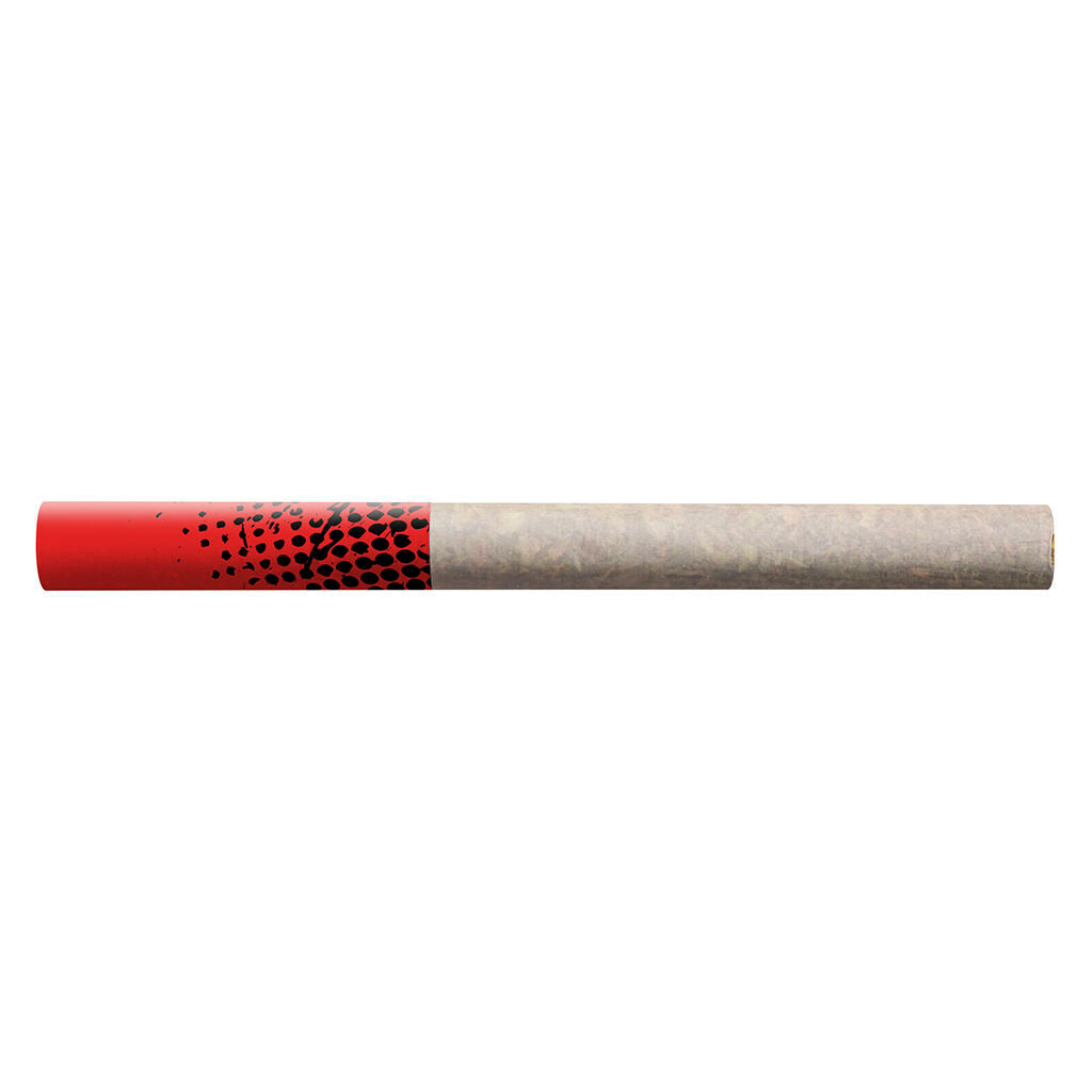 Préroulé GMO Kush de type tube - 