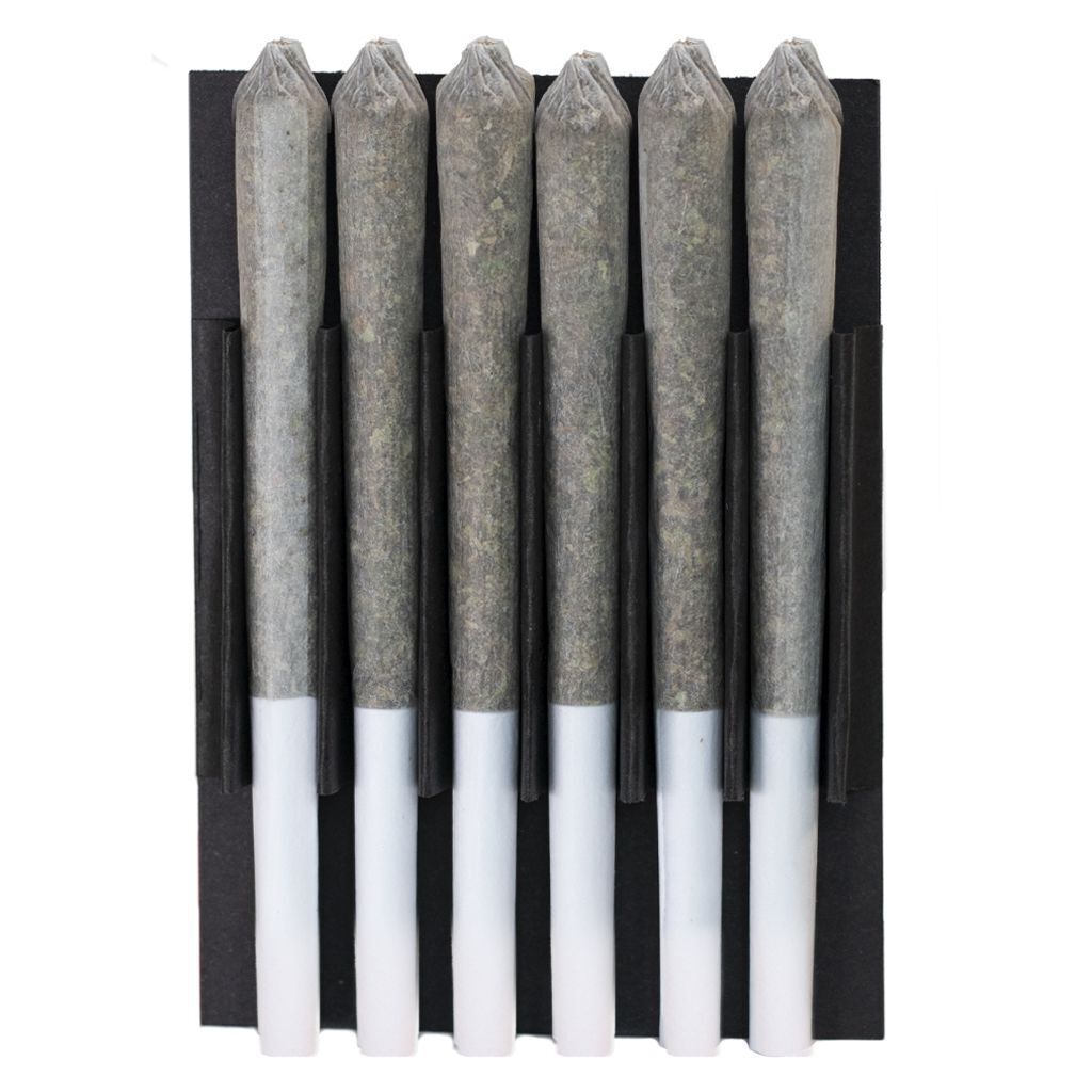 Amnesia Haze Pre-Roll