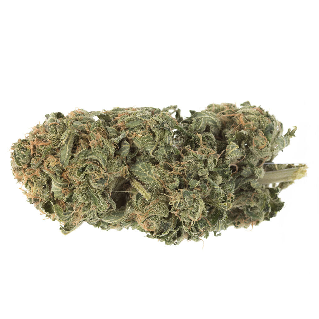 Ghost Train Haze - 