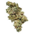 GG#4