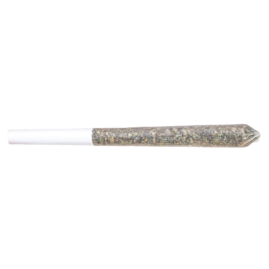 GG#4 Pre-Roll - 