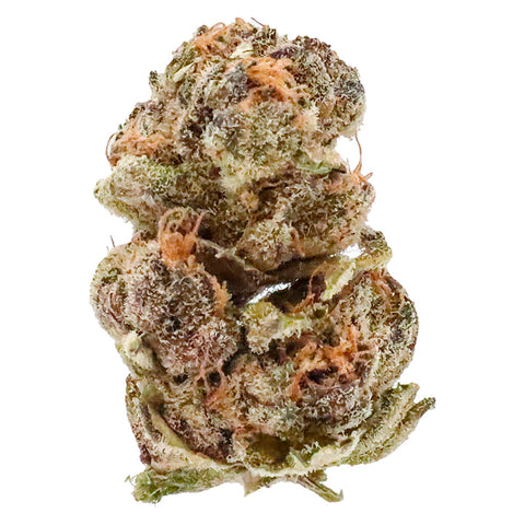 Frosted Cherry Photo