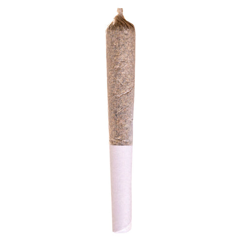 Photo Préroulé Blue Dream Express infusé