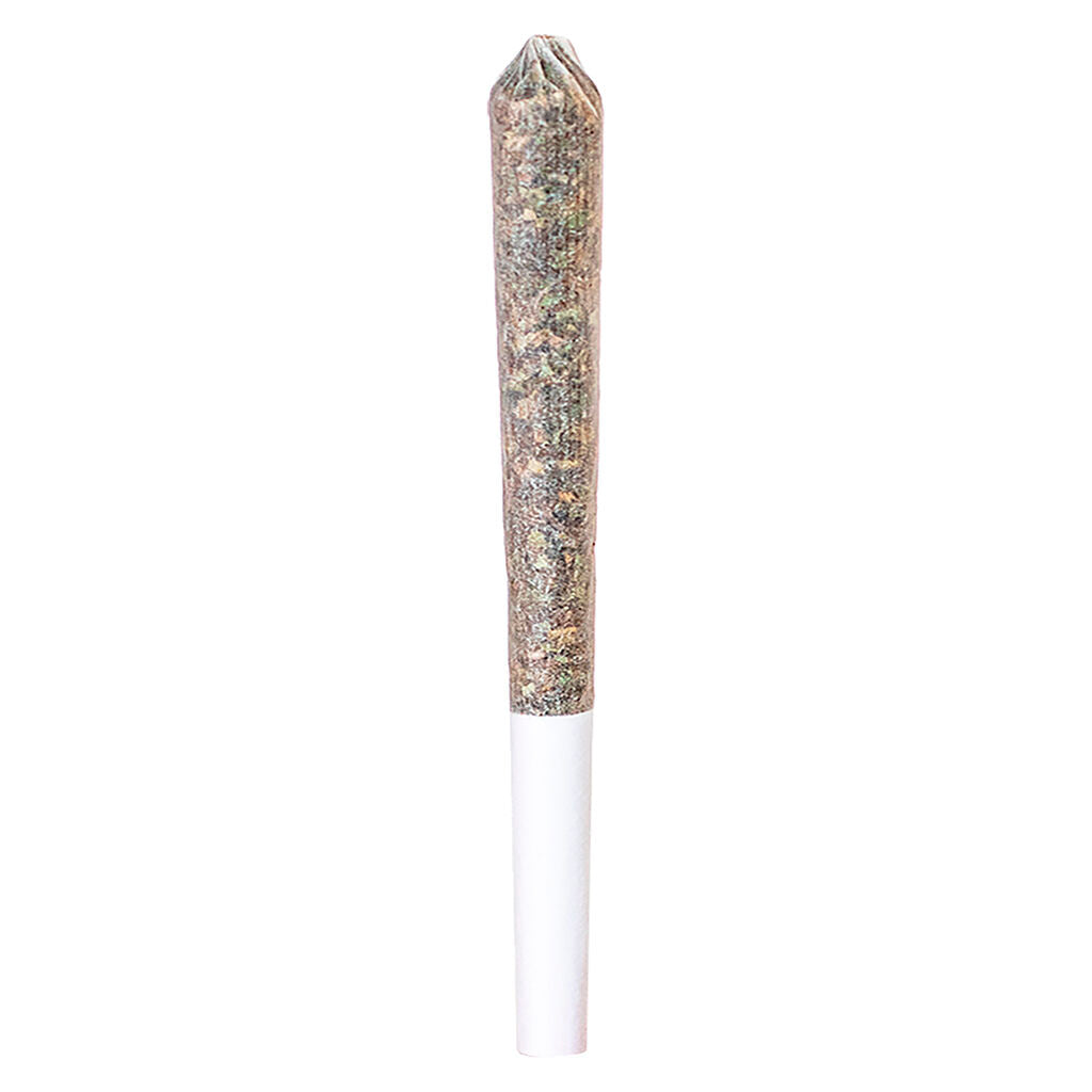 Ghost Train Haze Express Train Single Infused Pre-Roll - 