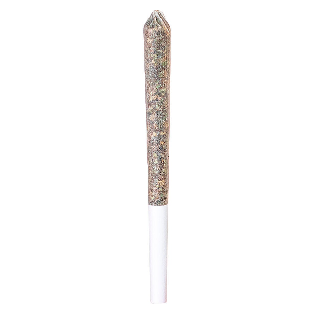 OG Kush Infused Pre-Roll - 