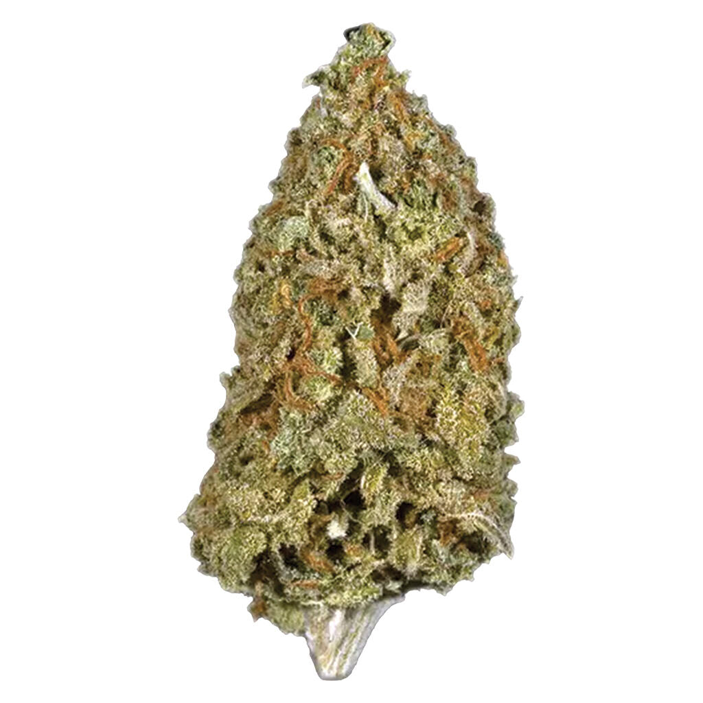 Candy Cane Kush - 