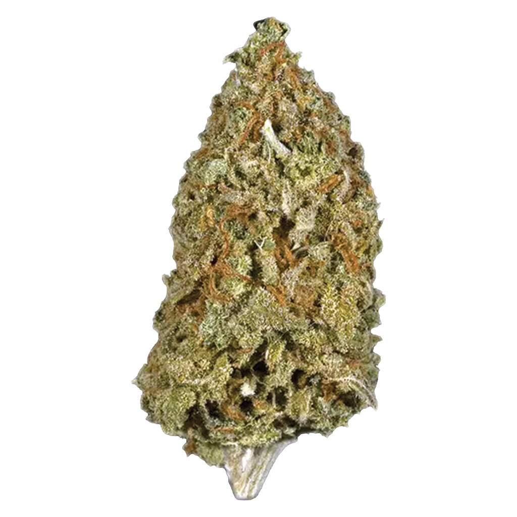 Candy Cane Kush - 