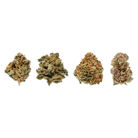 Fruit Collection Ounce Photo