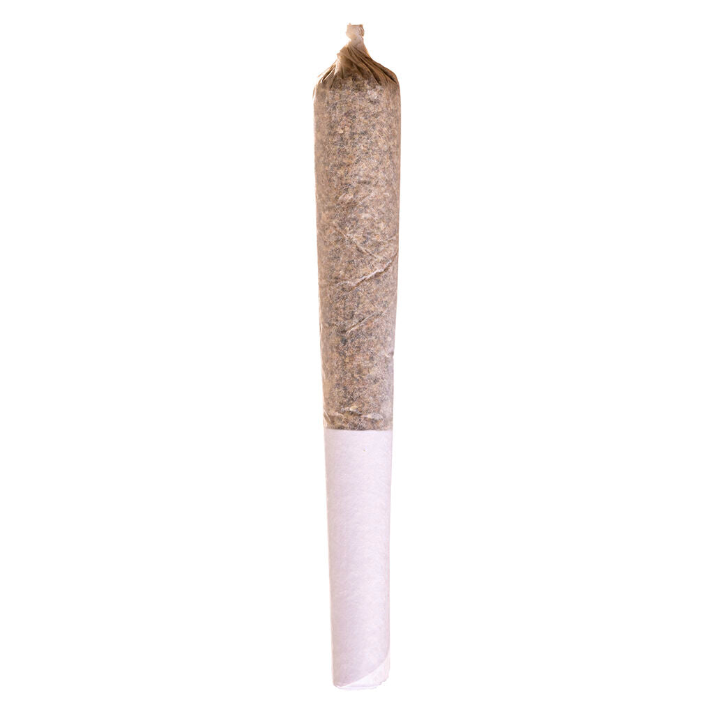 Sativa Express Infused Pre-Roll - 