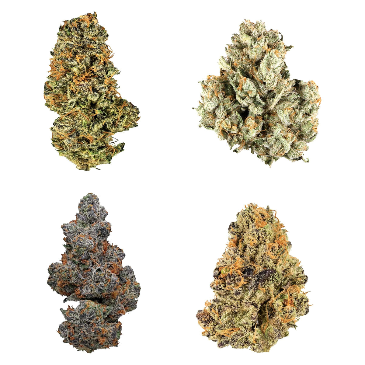 Once de variété de  Collection Canada