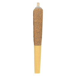 Photo Banana Breeze Infused Pre-Roll