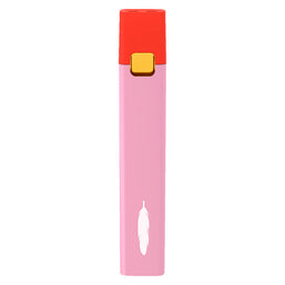 Photo Juicy Rouge USB-C Disposable Rechargeable