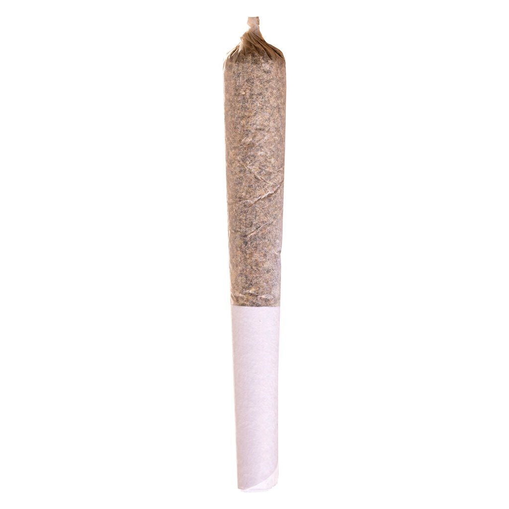 Jack Herer Pre-Roll