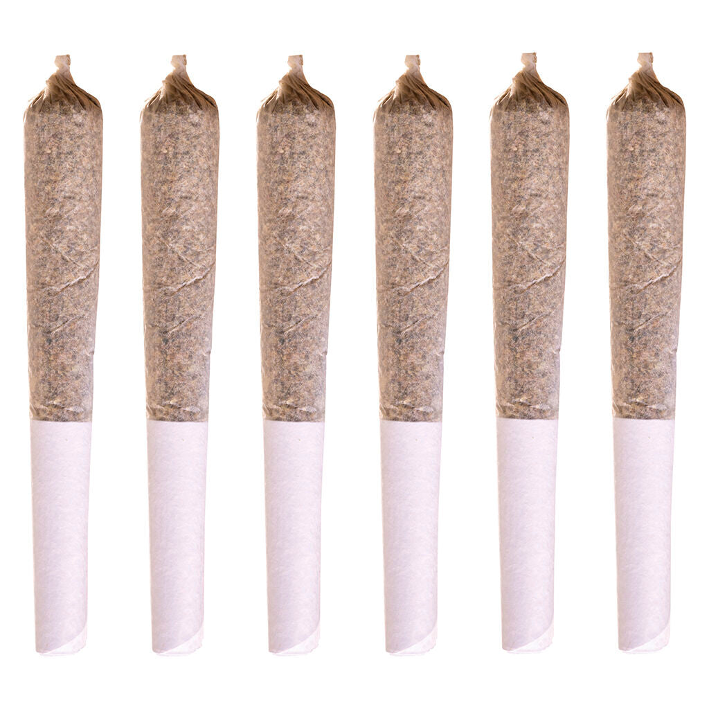 Jack Herer Pre-Roll