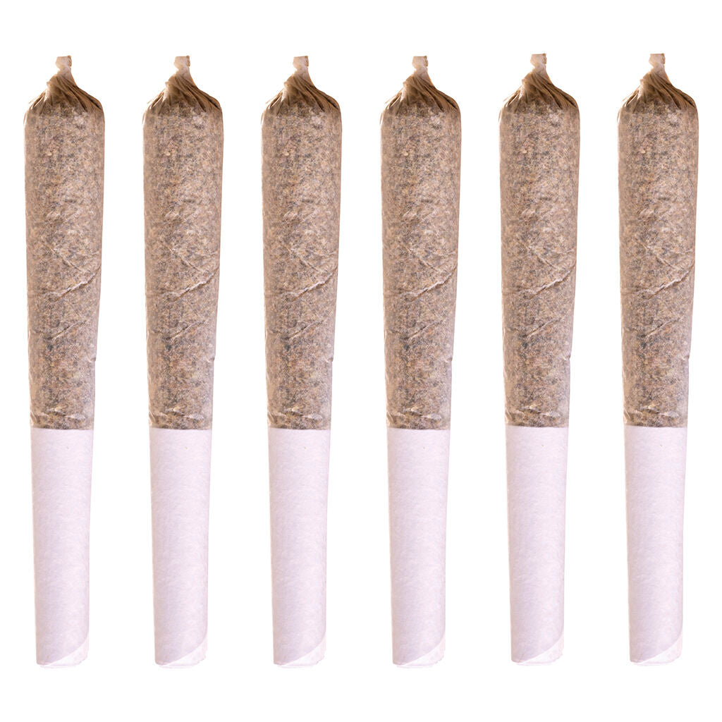 Jack Herer Pre-Roll - 