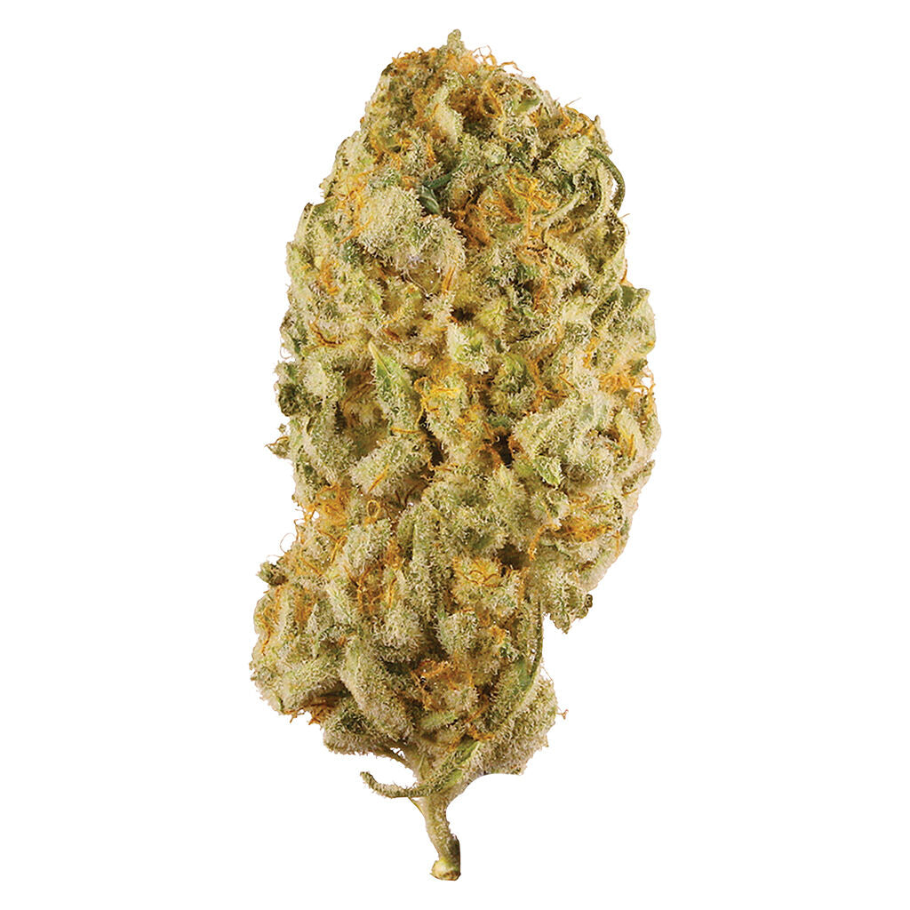 Jack Herer - 