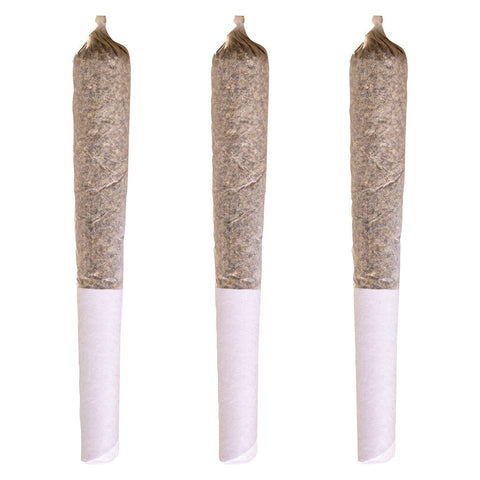 Photo Maple Pancakes Pre-roll