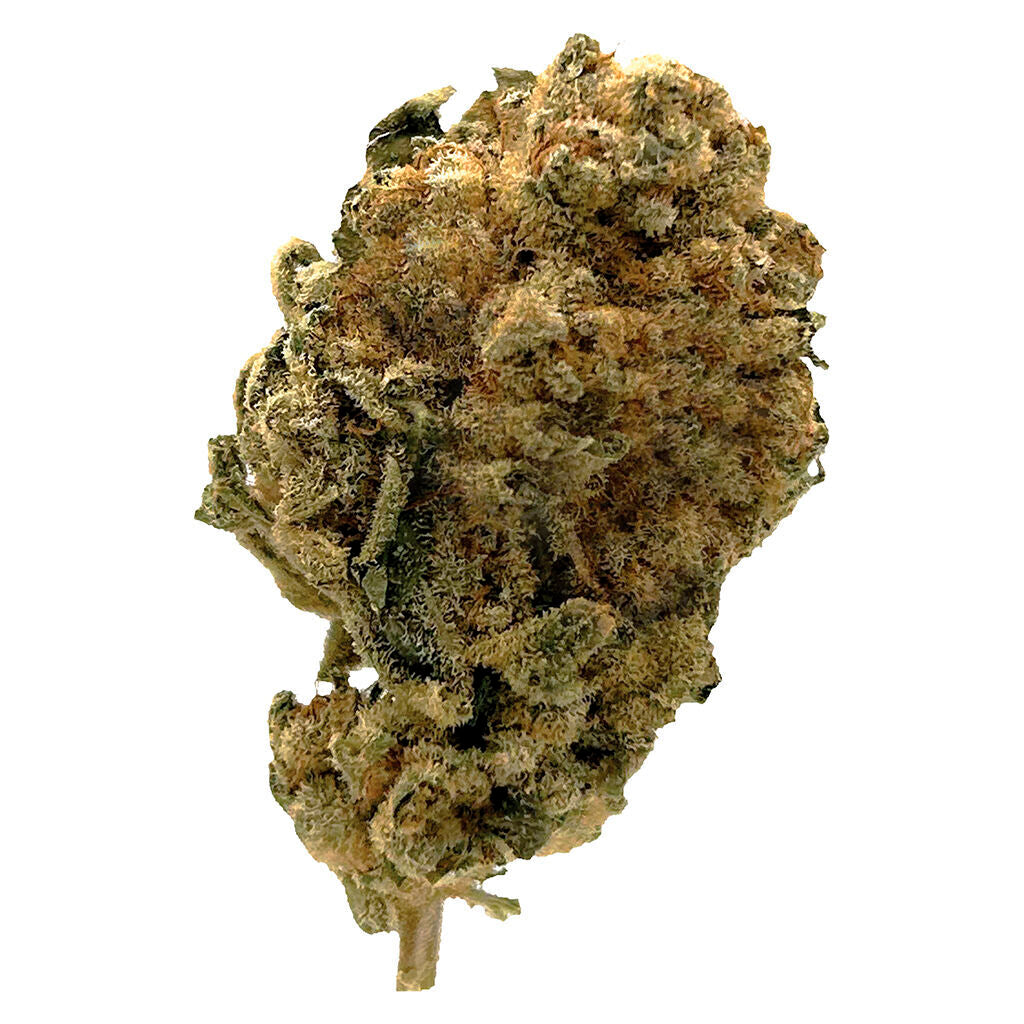 White Widow