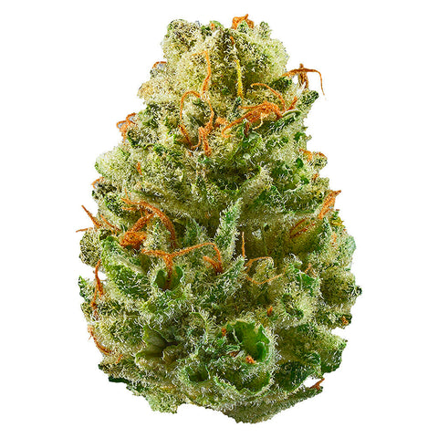 Photo Strawberry Cough