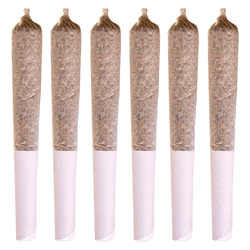 Coast To Coast Series Pre-Roll - 