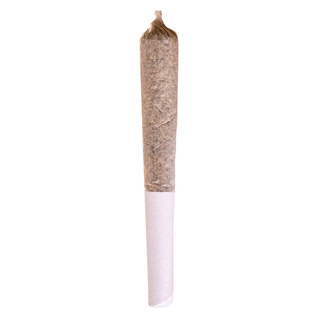 PrérouléBeaver Tail - 