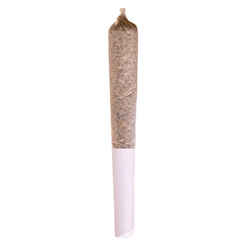 Photo Beaver Tail Pre-Roll