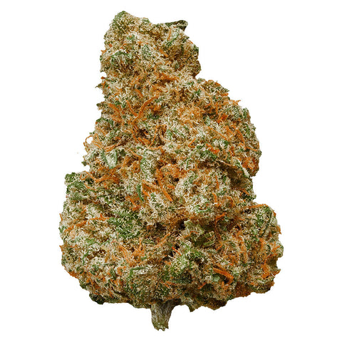 Photo Mango Dream