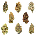 Dankmas Feast Variety Oz