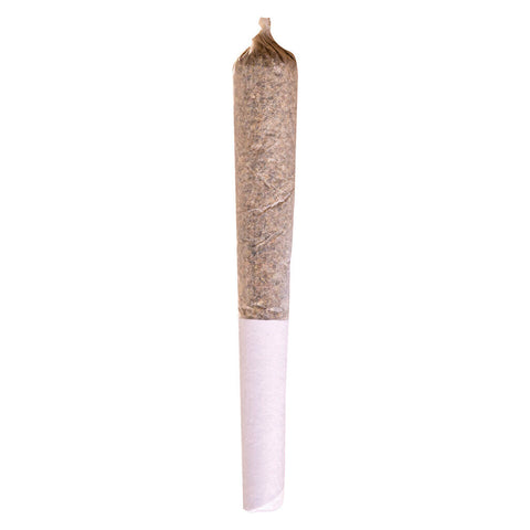 Photo Mango Dream Pre-Roll