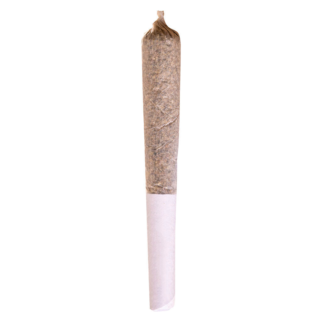 Préroulé Sensi Star