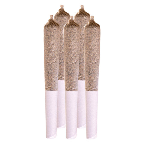 Photo Northern Lights Pre-Roll