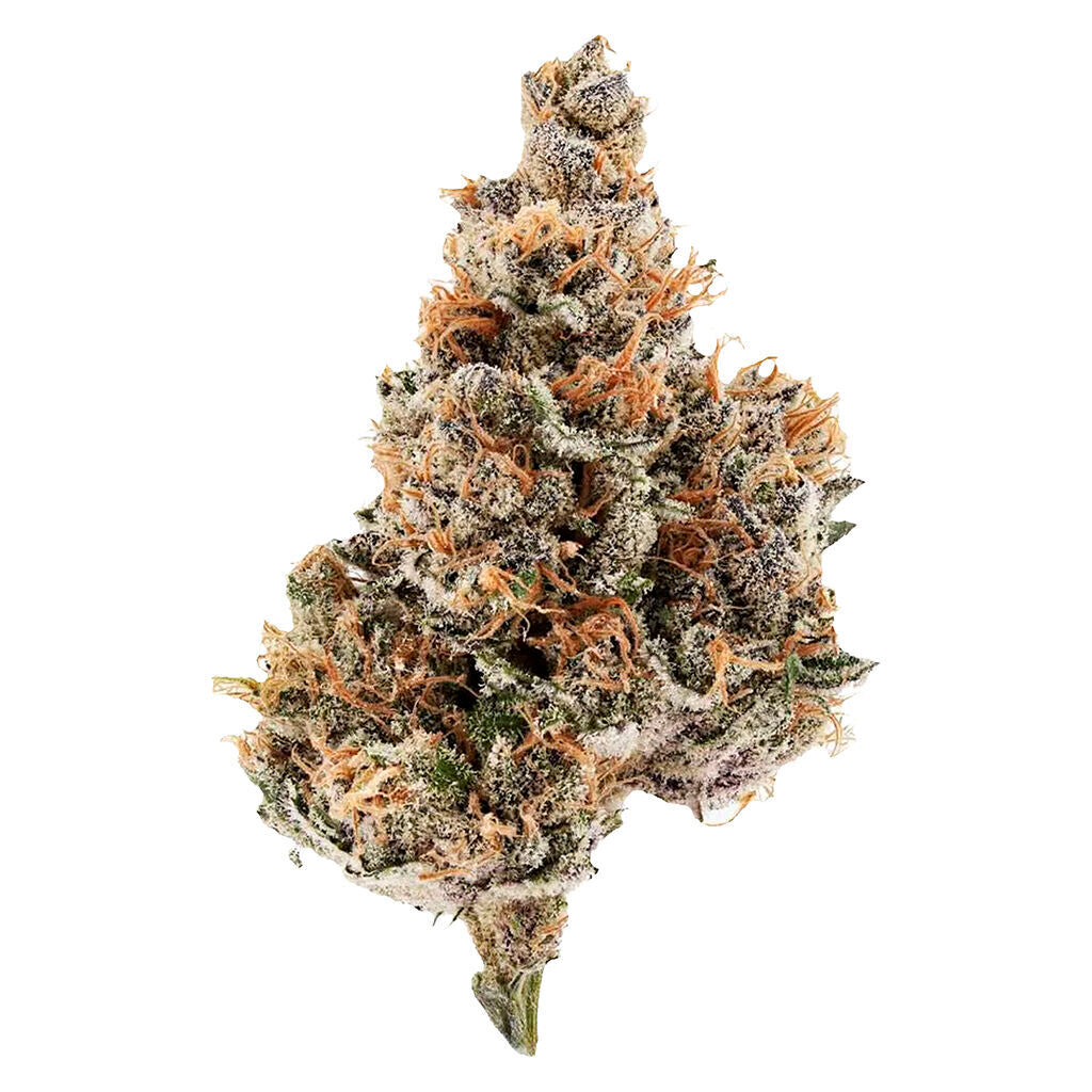 Raspberry Runtz - 