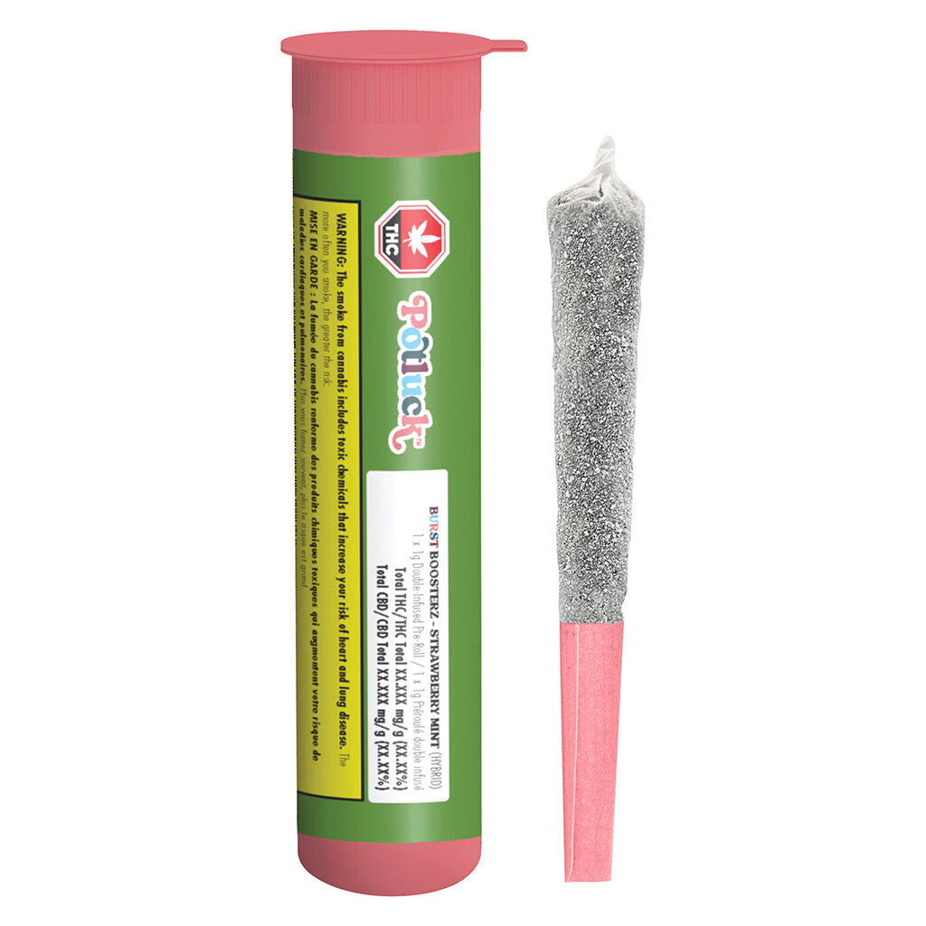 Préroulé infusé Strawberry Mint - 