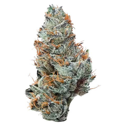 Photo Grape Ape