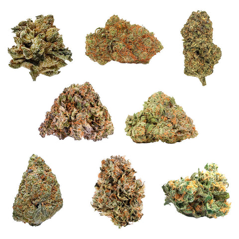 Photo Mix N Zip Variety Oz