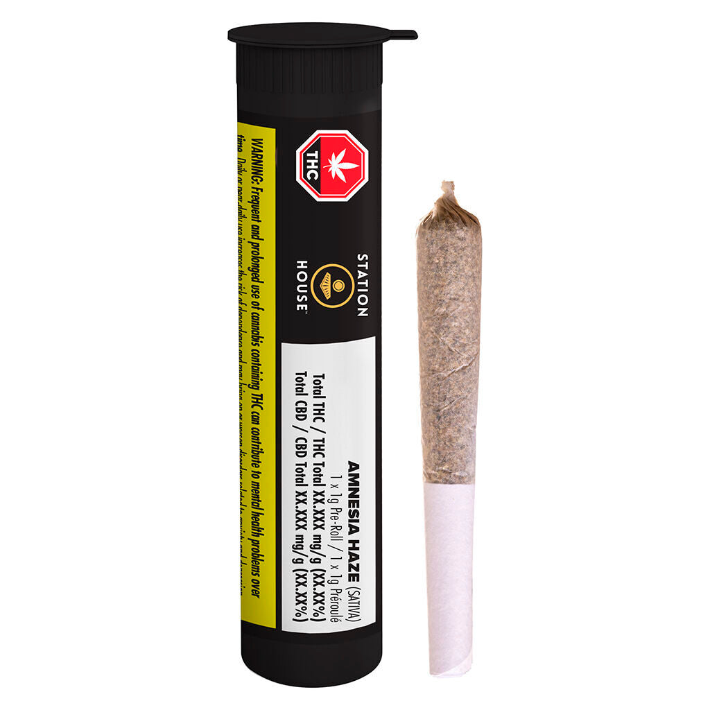 Amnesia Haze Pre-Roll - 