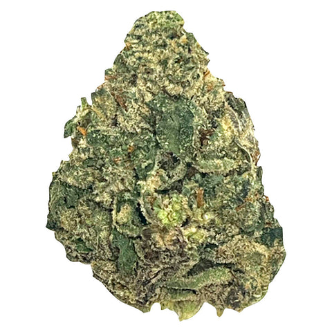 Mango Tango Photo