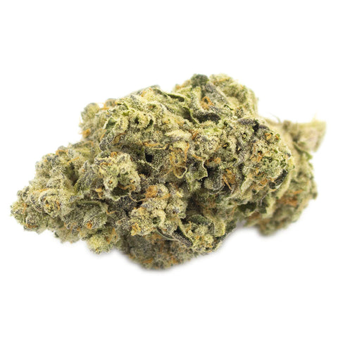 Chunk Dawg Photo