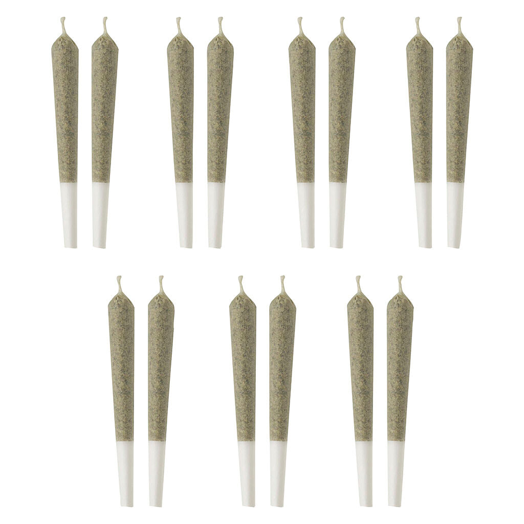 Panama Gold Pre-Roll - 