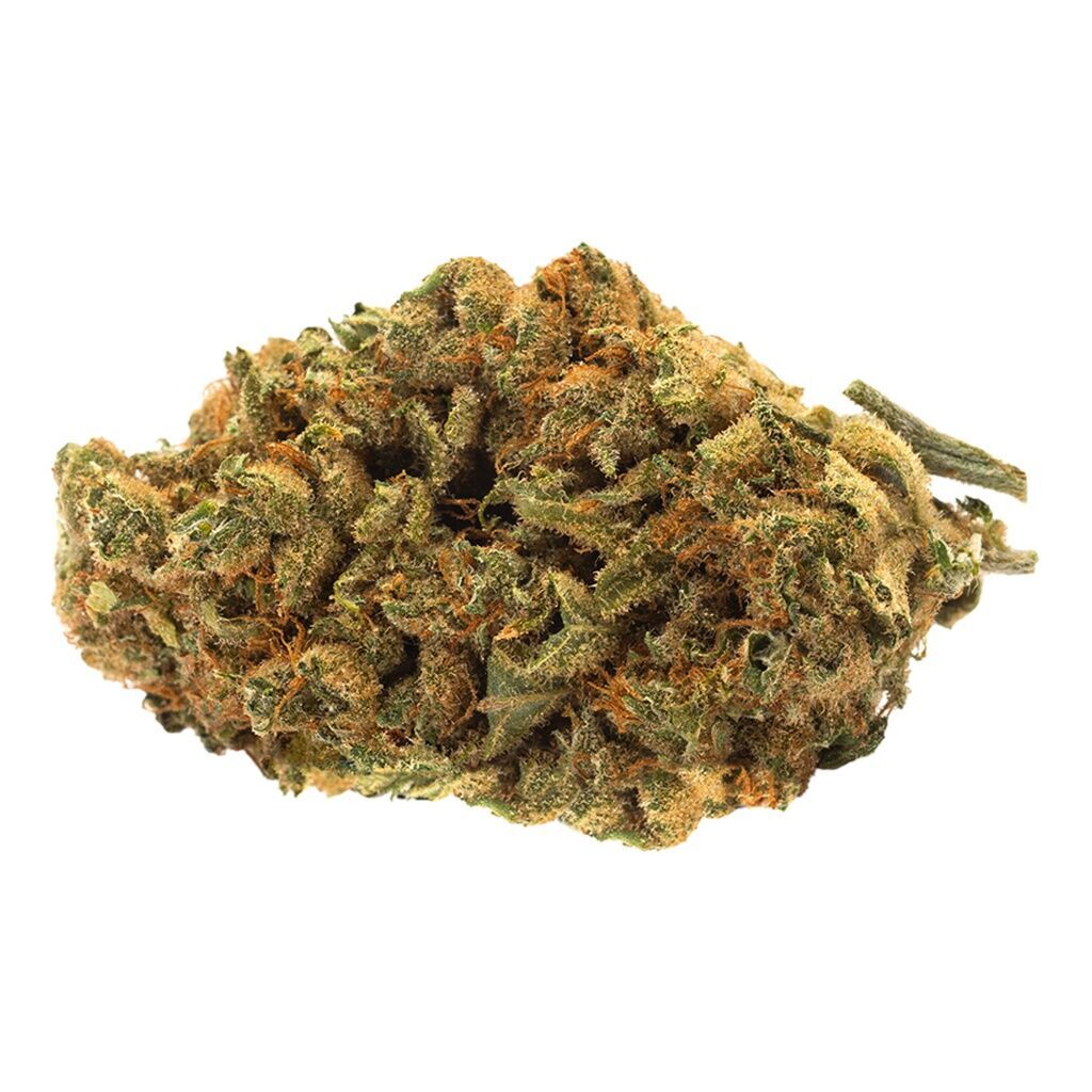 Indica Bud - 