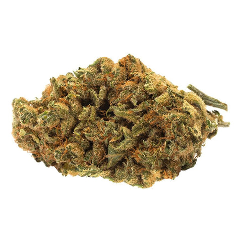 Photo Indica Bud